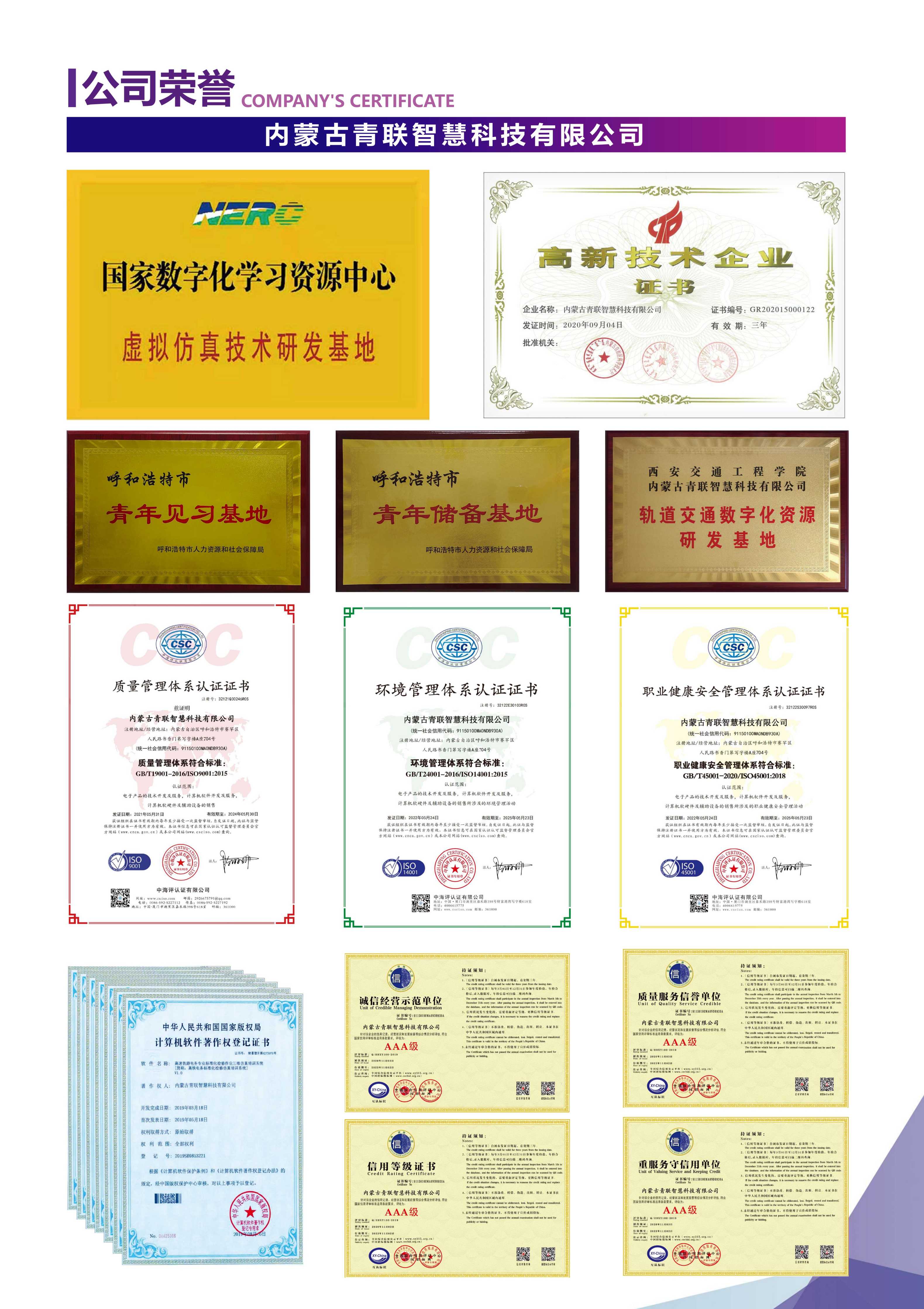 公司荣誉(1).jpg